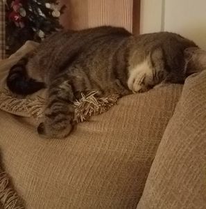 Meet your Posher, Robin